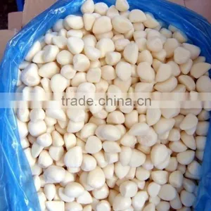 Factory of Frozen Peeled Garlic thumbnail-1