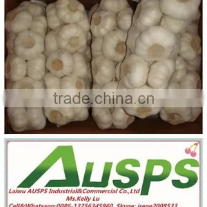 Wholesale Natural Fresh White Garlic With Nice Service thumbnail-5
