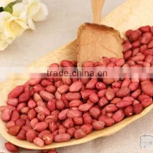 Agricultural Health Snack Food Dry Roasted Peanuts/red Skin Peanut Kernels Dry Roasted Peanuts/red Skin Peanut Kernels thumbnail-4