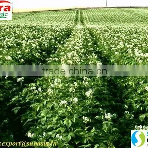 Karanja Seed Cake thumbnail-4