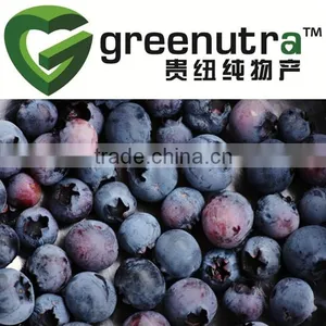Blueberry Extract Proanthocyanidins thumbnail-1