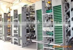 Automatic Poultry Equipment for Layer Quail Raising thumbnail-4