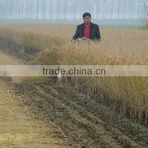 Mingyue New Product 4GL100 Bean Harvesting Machine Head thumbnail-6