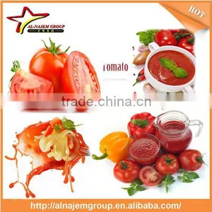 Best Quality Tomato Paste Machine Tomato Paste Sachet Packing Machine Tomato Paste Processing Machine thumbnail-1