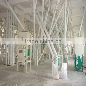 Latest Style and Low Price Wheat Flour Mill Plant thumbnail-3