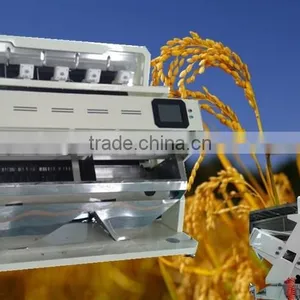 Super Intelligent Rice Color Sorter Machine With Super Service and Maintennance thumbnail-3