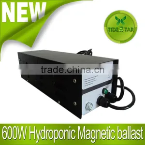600W Hydroponics Magnetic Ballast/Grow Light Magnetic Ballast thumbnail-1