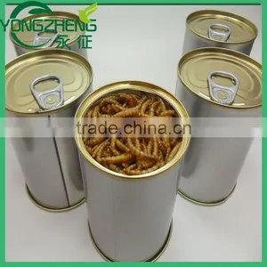Dried Mealworms/Tenebrio Molitors for Pets thumbnail-2