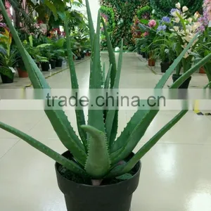 Landscaping Orgament Plant/Artificial Bonsai Plant/fake Aloe Vera Plant thumbnail-5