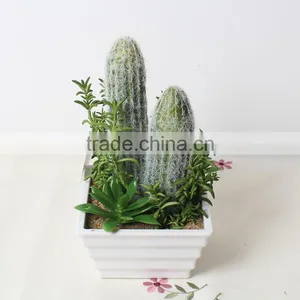 SJ1801212 Artificial Small Succulent Bonsai Plant/mini Cheap Plastic Plant thumbnail-5