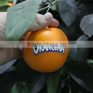 Artificial Bonsai Trees Artificial Orange Tree With Fruit Real Trunk Artificial Tree thumbnail-2