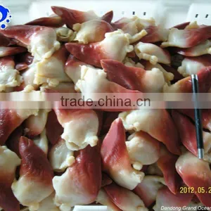 Horse Clam Foot thumbnail-1