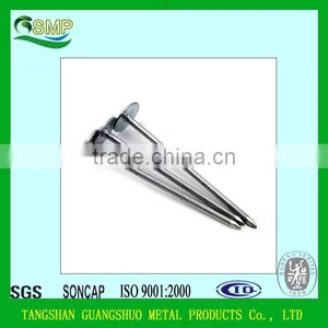 Umbrella Head Plain and Twisted Galvanized Roofing Nail thumbnail-2