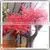 Artificial Indoor Cherry Blossom Tree Fake Wedding Wishing Blossom Tree Plastic Flower Trees And Plants Sale Peach Blossom thumbnail-4