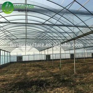 China Factory Plastic Film Covering Multi Span Tunnel Greenhouse thumbnail-3