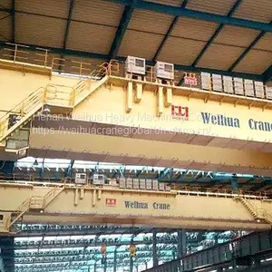 Plate Slab Crane for Continuous Casting Workshop thumbnail-1