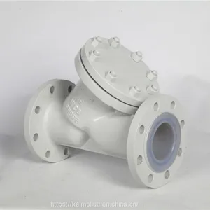 Fluorine-Lined Y Strainer for Acid Liquid thumbnail-4