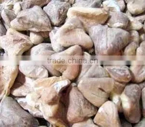 WATER CHESTNUT thumbnail-1