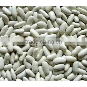 White Kidney Beans for Sale Kidney Beans Dark Red Wholesale thumbnail-1