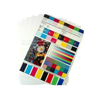 Light Pearl Silver Inkjet Plastic Sheet for Making id Cards thumbnail-1