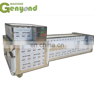 Fresh/red/dried/iraq Plam Date Pitting Machine/dates Deseeding Machine thumbnail-2