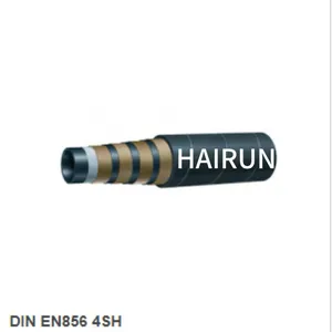 DIN EN 856 4SH thumbnail-1