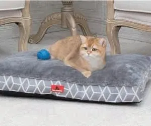 Soft Memory Foam Pet Bed thumbnail-1