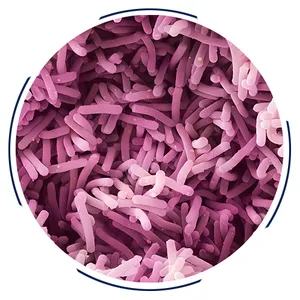 Supply Best Lactobacillus Casei​ Probiotic​ thumbnail-3