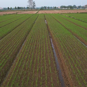 16 Rows 500L Seeding Fertilizing Machine With Fertilizer Box, Rotary Tiller, Disc Harrow and Land Roller thumbnail-2