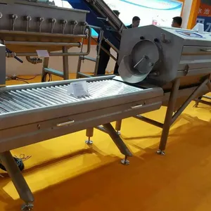 Industrial Vegetables and Fruit Washing Machine Commercial Automatic Bubble Spray Washer Equipment for Food Processing Plant thumbnail-4