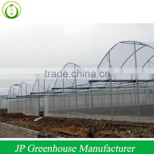 Cooling Pad and Ventilation Greenhouse for Sale thumbnail-1