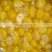 Canned Sweet Corn With High Quality thumbnail-1