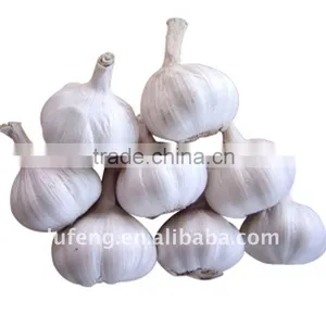 Chinese Fresh Garlic thumbnail-1