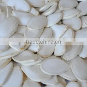 Dried Pumpkin Seed, Snow White Pumpkin Seeds thumbnail-1