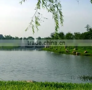 Cheap and Fast Dhl International Shipping Rates From China to UK thumbnail-6
