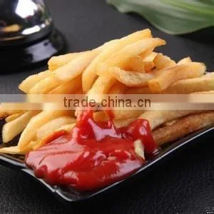 High Quality Fried/Snack Food Extrusion Machine thumbnail-2