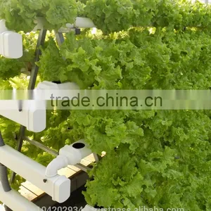 Drip Irrigation System and NFT Hydroponics for Agriculture Product thumbnail-3