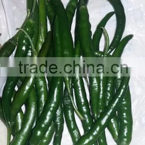 Indian Fresh Long,dark Green and Spicy Green Chilli Exporter thumbnail-5