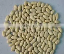 China Blanched Peanut Kernels in Long Shape Best Price thumbnail-6