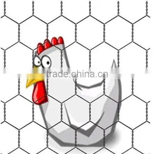 Chicks Netting, Hexagonal Mesh Fence, Galvanized or Pvc Coated Mesh, Twisted Mesh thumbnail-1