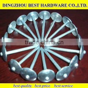 Twist Shank Roofing Nail thumbnail-3