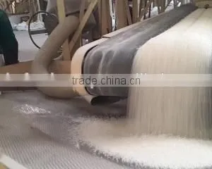 Calrose Rice 5% Broken - Oil Polished (Mix Round Rice) thumbnail-2