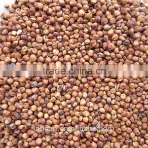 Glutinous Sweet Red Sorghum With High Starch thumbnail-1