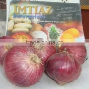 Fresh Onion thumbnail-1