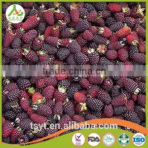 Asian Frozen Vegetables and Fruits Iqf Frozen Blackberry thumbnail-6