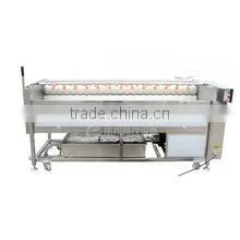 PX-1500 Powerful Root Vegetable Washing and Polishing Machine thumbnail-1