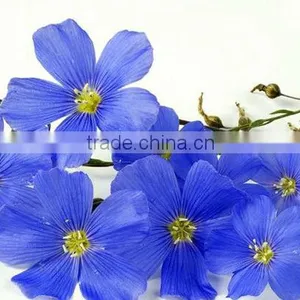100% Nature and Pure Flaxseed Oil thumbnail-2