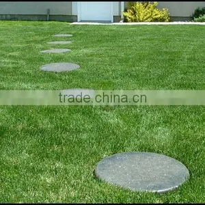 Plastic Stepping Stones thumbnail-1