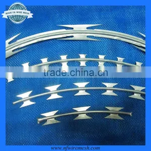 Razor Barbed Wire/barbed Wire Concertina (factory) thumbnail-1