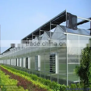 Polycarbonate Sheet Hydroponic Greenhouse System thumbnail-1